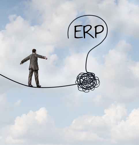 SaaS ERP implementation - the power of fear